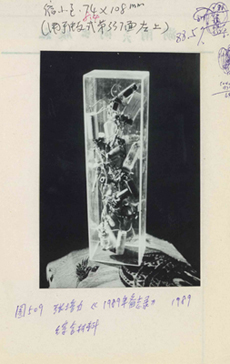 Primary source of History of Modern Chinese Art: Zhang Peili, <i>1989 Memorandum</i>, mixed media, 1989.